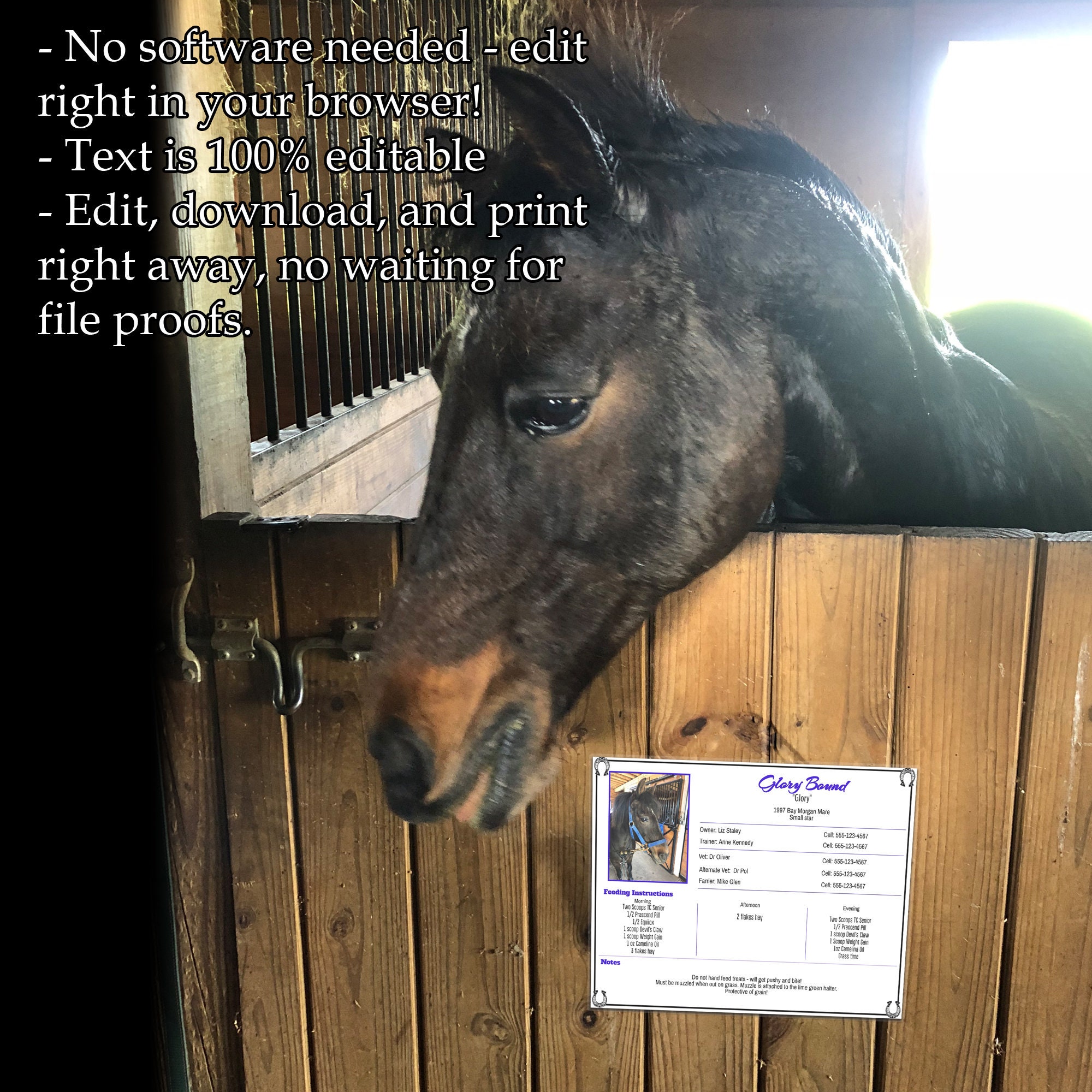 Editable Printable Horse Stall Sign Includes Emergency  Etsy
