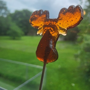 8 Moose Head Outdoors Northern Wildlife Lollipops Bullwinkle