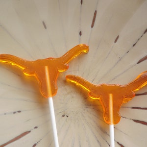 14 Texas Bull Longhorn Lollipop Party Favor