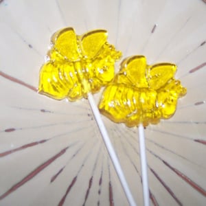 30 Piece Spring Bumble Bee Lollipop Sucker  Party Favor