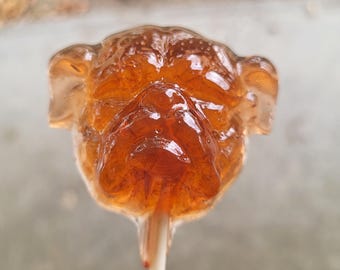 10 Bulldog School Spirit Lollipop Suckers Party Favors Bull Dog