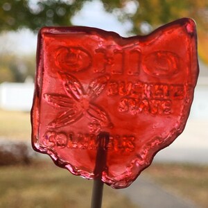 10 Louisiana Mississippi Georgia Florida California Utah Ohio North Carolina Pennsylvania State Lollipops Suckers Party Favor