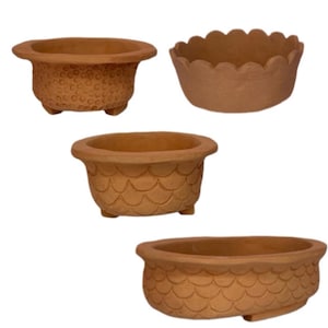 Vasi in terracotta per bonsai, kokedama e mini orchidee