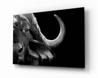 Bison Glass Wall Art | Majestic Wildlife Animal Print, Tempered Glass Decor