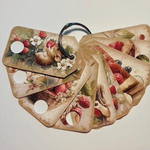 May include: A set of vintage-style tags on a metal ring, featuring illustrations of strawberries, raspberries, and other berries. The tags have a distressed, aged appearance with white circular cutouts.