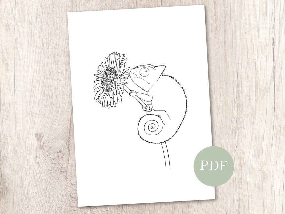 Printable Chameleon Coloring Page, Cute and Realistic Animal Line Art for All Ages, Minimalistic ...