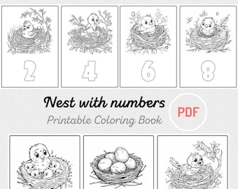 10 Bird Nest Coloring Pages Bird Eggs and Bushy Nests Printable ...