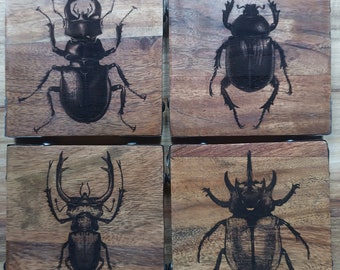 Posavasos de madera grabados con láser de escarabajo