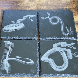 May include: Set of four black slate coasters with white images of snake skeletons. Each coaster features a different pose of the snake skeleton.