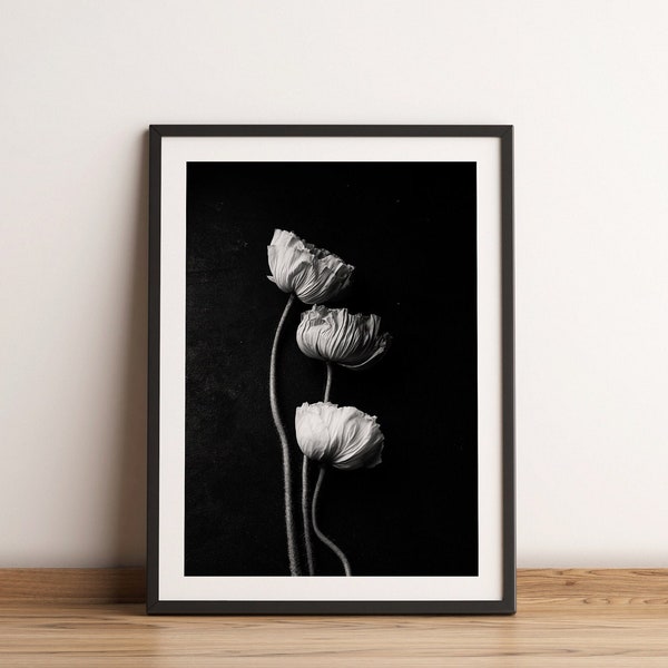 Romantic poppies fine art photography, botanical photography print, black art canvas wall art, digital download cadeau poster