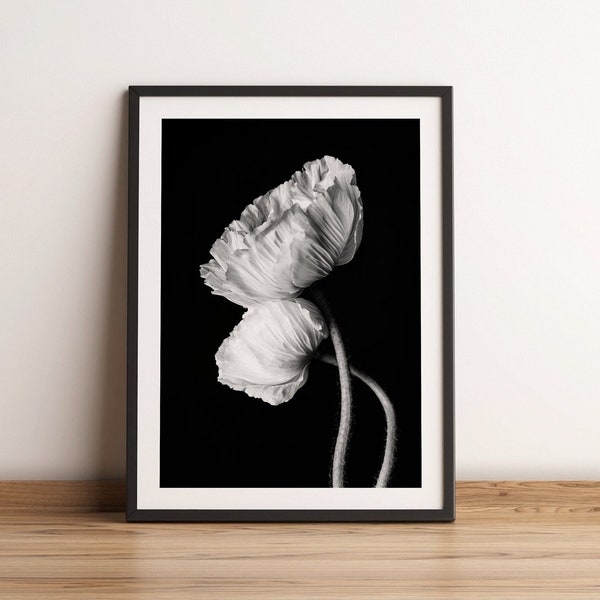 Black and white poppies photo print, floral modern room decor, Digital download botanical wall art, cadeau femme affiche