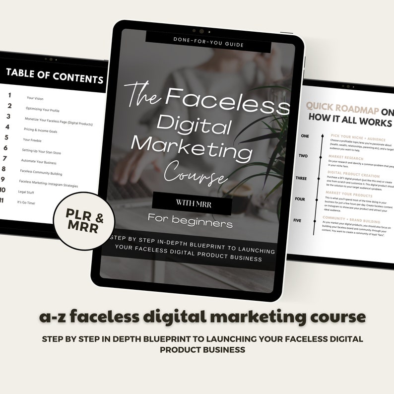 Faceless MRR Vault, digital marketing course, faceless videos, plr ,master resell rights,sell on etsy, tiktok,private label rights, image 3