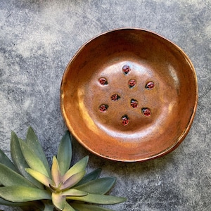 May include: A handmade, copper-colored ceramic bowl with a glossy finish. The bowl features a series of small, red, ladybug-like embellishments. The bowl is round with a slightly irregular rim, suggesting a handcrafted origin. The background is a textured gray surface.