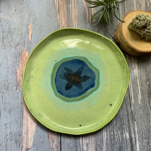May include: A light green ceramic plate with a blue and green concentric circle design and a black star in the center.