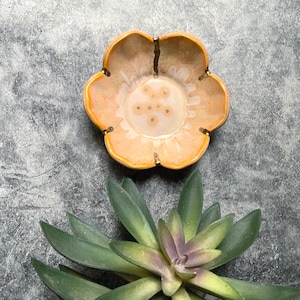 May include: A flower-shaped ceramic bowl with a light orange and cream color scheme. The bowl has a textured surface and is accented with gold-colored details. The bowl is placed on a gray surface next to a green succulent plant.