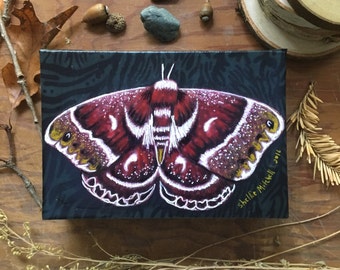 Silkworm moth, autumn decor, natural history, insect art, earth tones, fall colors, Original Fabric on Wood art box