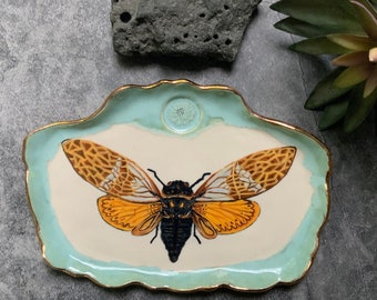 Cicada ceramic wall art, shellieartist, gift for her, home decor, gold luster, pottery collector, detailed underglaze, nature inspired art