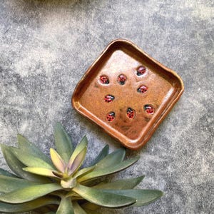May include: A square, copper-colored ceramic dish with rounded edges. The dish is decorated with several red and black ladybug designs. A succulent plant is in the foreground, with a gray background.