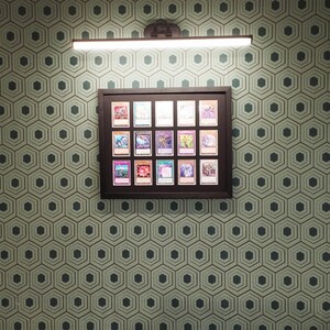 TCG, TCG 15-kaarten frame voor Pokémon-ruilkaarten, Lorcana, MTG standaardformaat