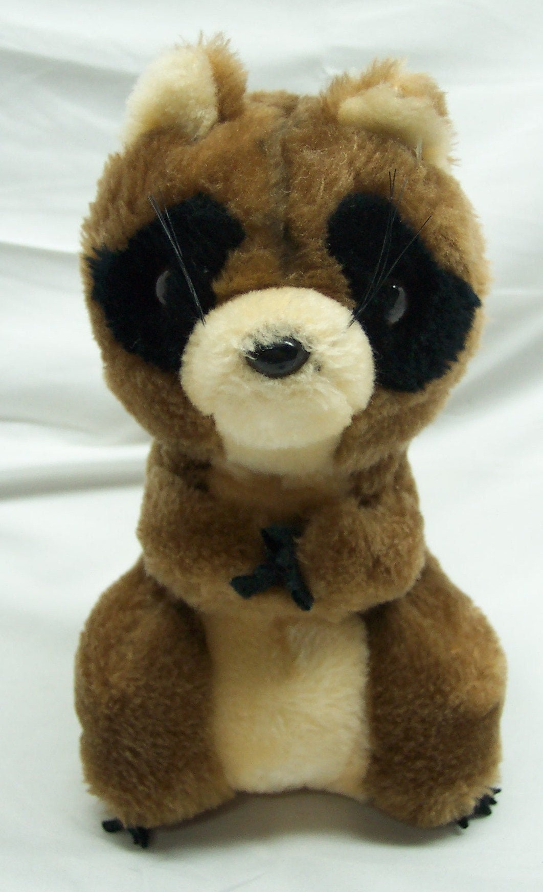 dakin raccoon