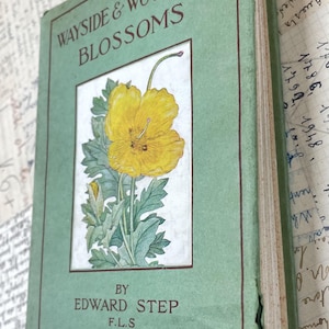 Wayside And Woodland Blossoms - Edward Step - 1938 Friedrich Warne & Co