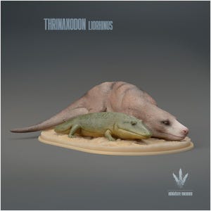 Puede incluir: Una maqueta en miniatura detallada de un Thrinaxodon y un Liorhynchus, un reptil y un anfibio prehistóricos. El Thrinaxodon es de color marrón claro y el Liorhynchus es verde. Los modelos descansan sobre una base beige. El texto "THRINAXODON LIORHINUS" está en la parte superior.