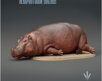 Hexaprotodon sivalensis : The Prehistoric Hippo Sleeping - UNPAINTED 3D Resin Print - Miniature Museum