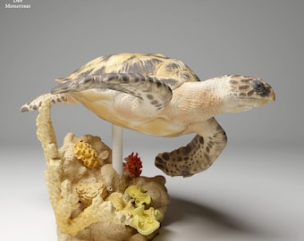 Hawksbill Sea Turtle Swim - UNPAINTED - Animal Den Miniatures