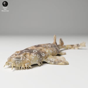 Requin wobbegong tacheté - NON PEINT - Miniatures repaire d'animaux