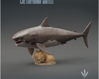 Cretoxyrhina mantelli : The Ginsu shark - UNPAINTED 3D Resin Print - Miniature Museum