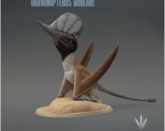 Darwinopterus modularis : Darwin's wing - UNPAINTED 3D Figurine - Miniature Museum