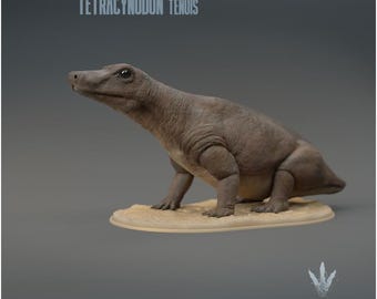 Tetracynodon tenuis : Sitting - UNPAINTED 3D Resin Figure - Miniature Museum