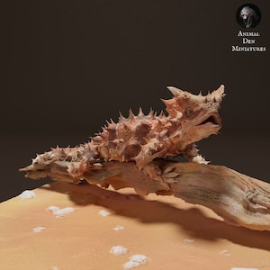 Pode incluir: Um lagarto espinhoso castanho e bege com costas espinhosas e uma boca bem aberta, empoleirado em um galho. O lagarto está em uma superfície arenosa com manchas brancas.