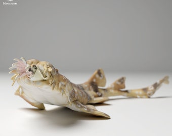 Spotted Wobbegong Shark Hunt - UNPAINTED - Animal Den Miniatures