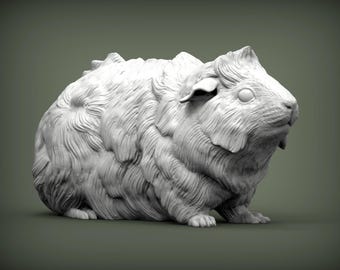 Abyssinian guinea pig - UNPAINTED 3D resin figure - Alexander3dart