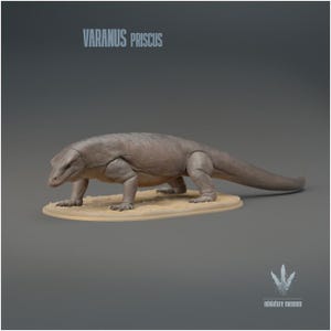 Könnte beinhalten: Eine graue Varanus priscus Echsenfigur auf einem strukturierten, beigefarbenen ovalen Sockel. Der Text VARANUS PRISCUS ist oben links in Weiß gedruckt, und ein weißes Klauen-Symbol mit dem Text miniature museum befindet sich unten rechts.