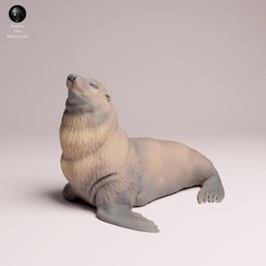 Cape Fur Seal male - UNPAINTED 3D Resin Figure - Animal Den Miniatures