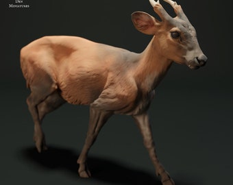 Muntjac Deer- UNPAINTED -  Animal Den Miniatures