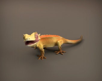 Gecko - UNPAINTED - Animal Den Miniatures