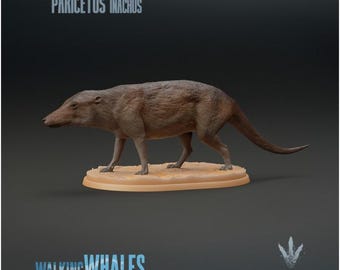 Pakicetus inachus : Dog-like Whale - UNPAINTED 3D figure - Miniature Museum