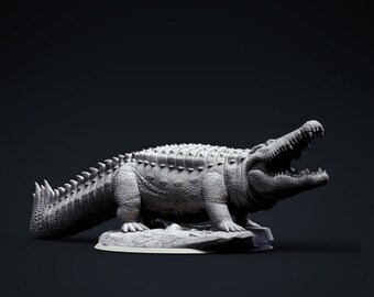 Crocodile - Clynche Art