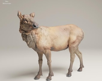 Animal Den Miniatures