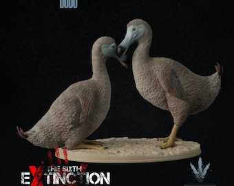 Dodo : A Couple of Dodos  - UNPAINTED - Miniature Museum