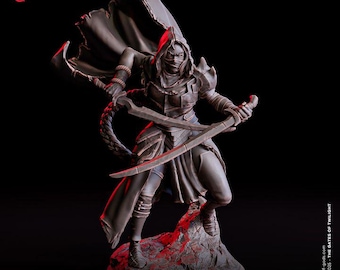 Returning Hero - Nyxara, Tainted Blade - Flesh of Gods  -  UNPAINTED 3D Resin Figure
