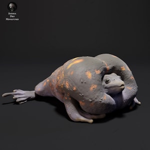 Mexican Burrowing Toad Croak - UNPAINTED - Animal Den Miniatures