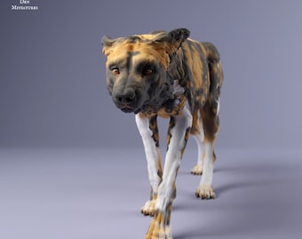 African Wild Dog Sneaking - UNPAINTED - Animal Den Miniatures