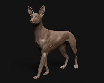 Pharaoh Hound dog - Dino and Dog Miniatures