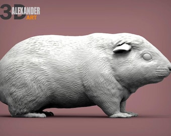Teddy Guinea Pig - UNPAINTED 3D Figure - Alexander3dart