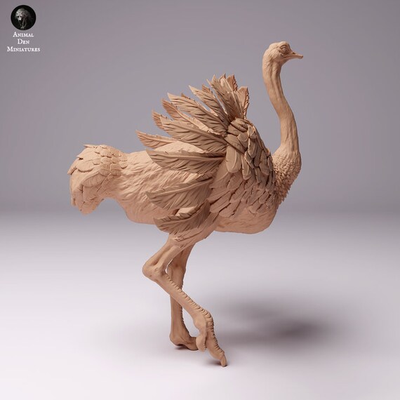 北アフリカのダチョウのオス - 未塗装3D樹脂フィギュア - アニマルデン