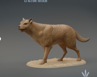 Miniature Museum